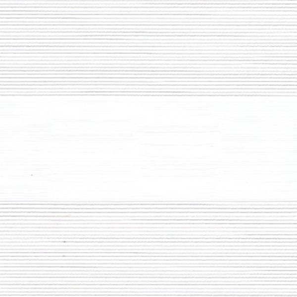 zebra-dungi