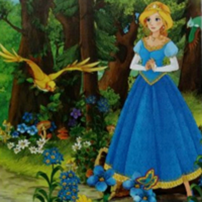 Photo Rolete Imprimate Cinderella E149