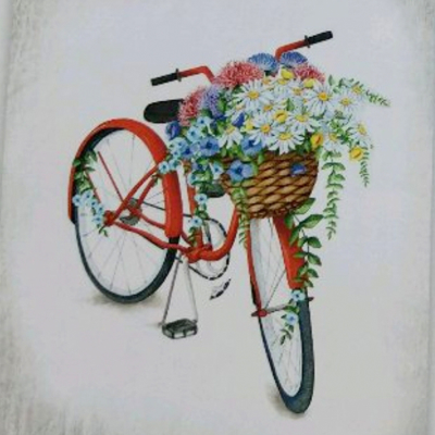 Photo Rolete Imprimate Bicycle E338