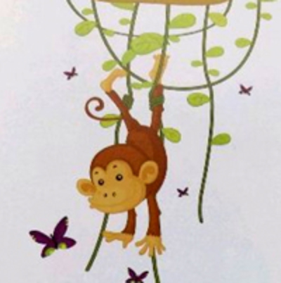 Photo Rolete Imprimate Monkey E353