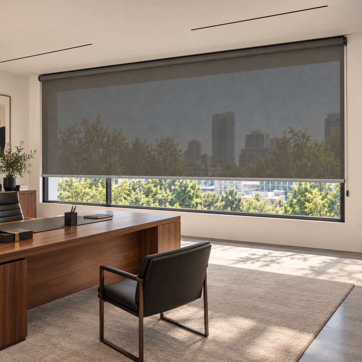 Roletă Screen XXL BSC 206 Gri 